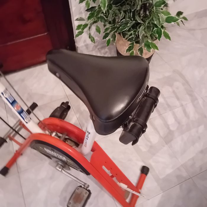 Bicicleta estática vintage