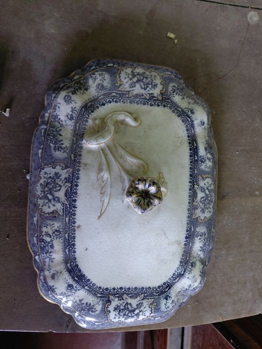 Tampas soltas de terrinas/pote (entre 20 e 30 )