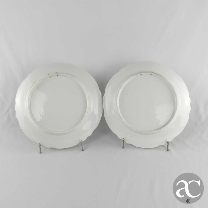 Par de pratos porcelana Europeia, decorados com lago, flores e cisnes