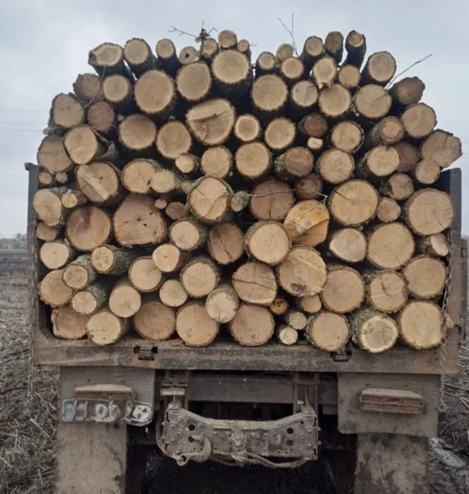 Дрова дубові рубані з ділянки, напряму, опт, роздріб. 3-5-6-10-27.5 м3
