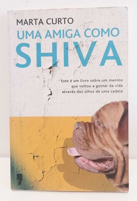 Uma Amiga Como Shiva, de Marta Curto