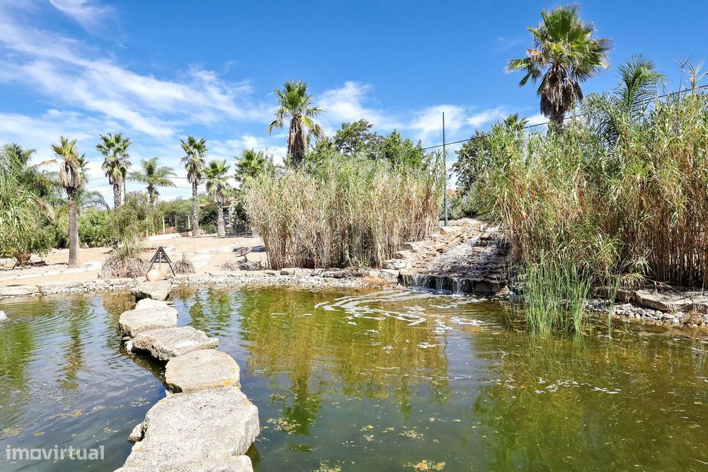 Quinta T7 Com Alojamento Local, Restaurante, Piscina E Lago Em Beja Sã