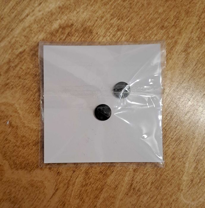 trans flaga LGBT pin przypinka papuga