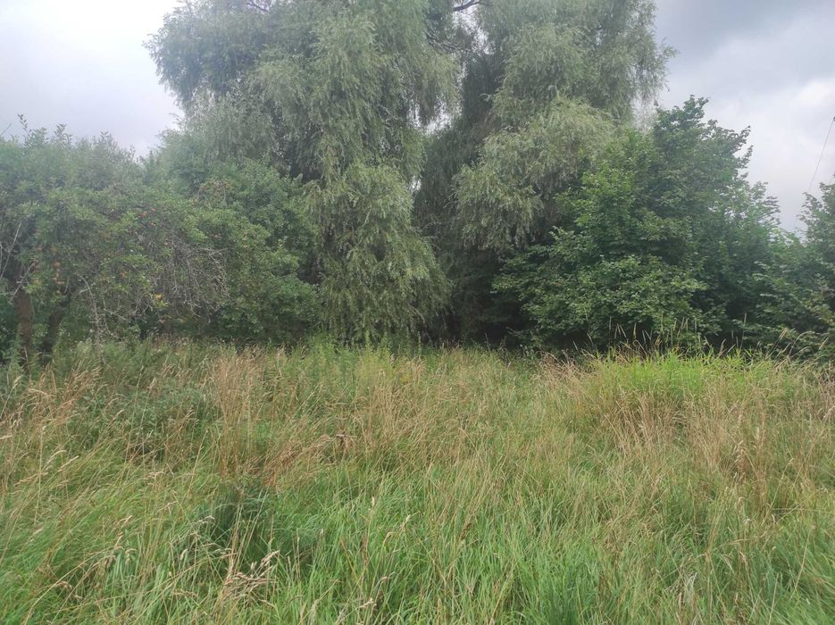 Dom – Rząśnik - Więcej