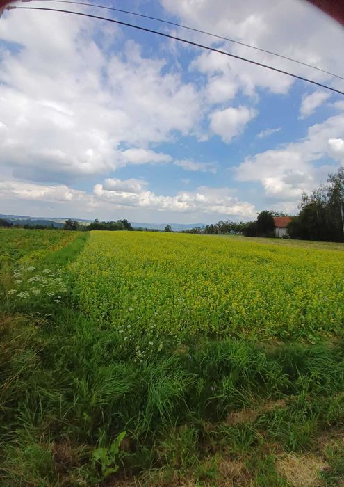 Widokowa działka w górach z widokiem na Kotlinę Sadecką oraz na Tatry - Widok 3