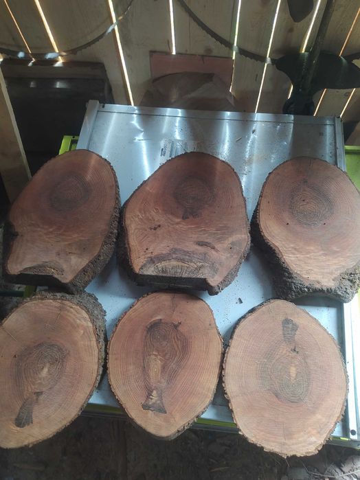 Sprzedam plastry jesion