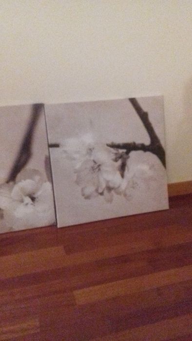 Descida de preço! 3 quadros (medidas 57cmx57cm)