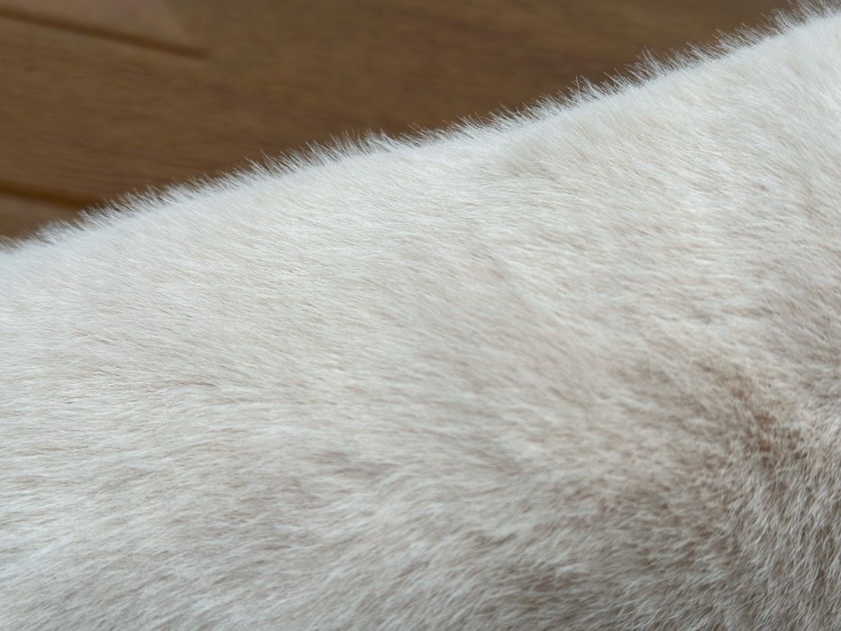 Коротка жіноча еко шуба під норку з англійським коміром напівшубок