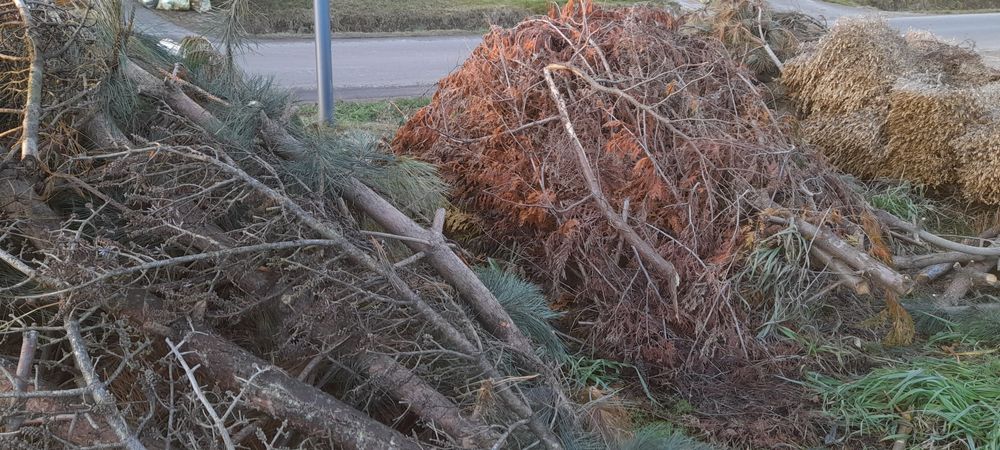 Zrębki iglaste,zrębka mieszana