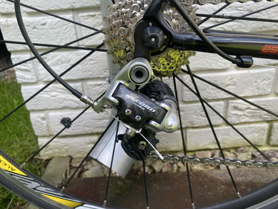 Specialized Allez Campagnolo 56cm. Rower szosowy