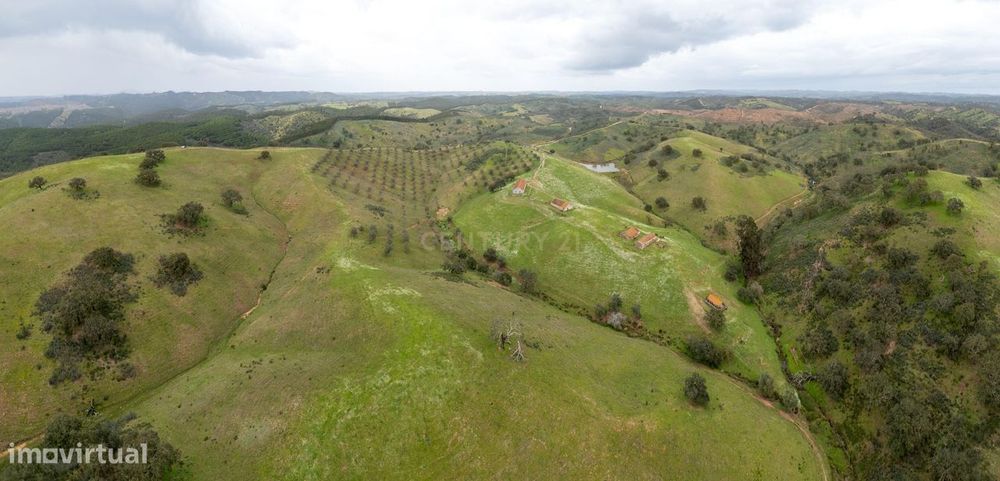 229 Hectares com 3 barragens no Alentejo