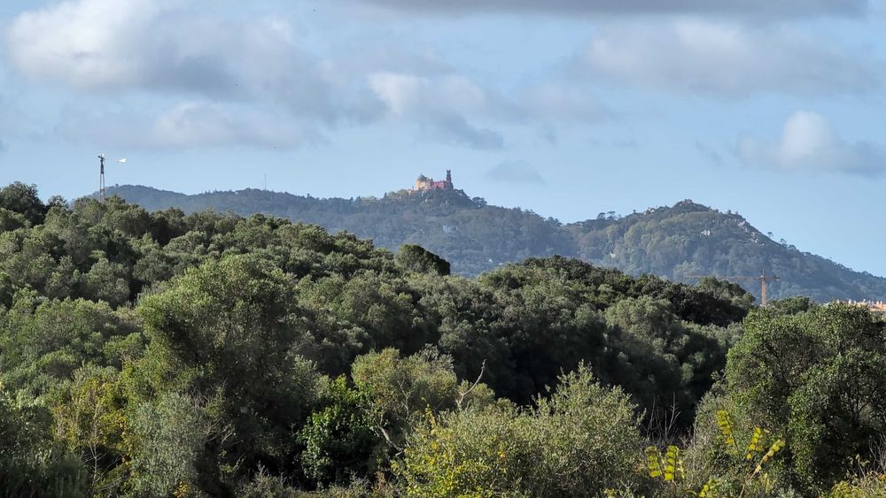 Venda de Ruína certificada