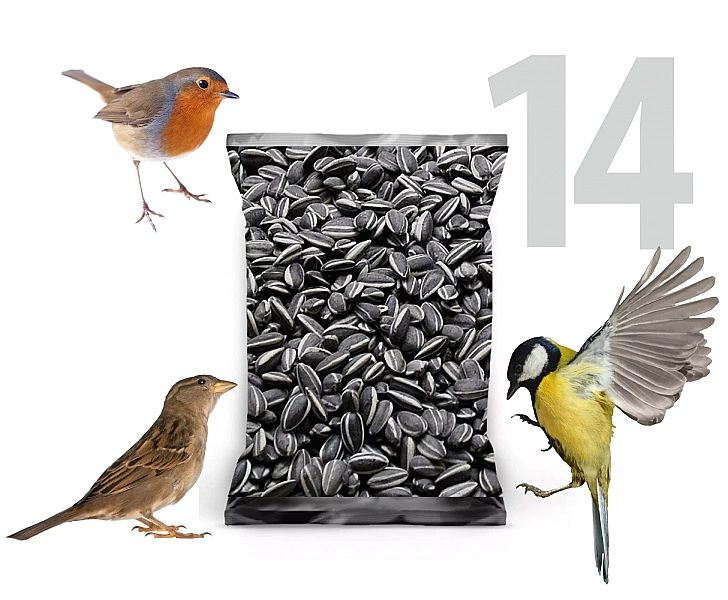 14kg Słonecznik czarny nie łuskany ziarno na zimę karmnik dla ptaków C