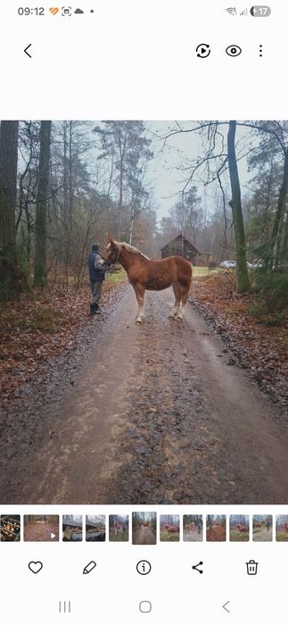 Źrobka 10 miesieczna