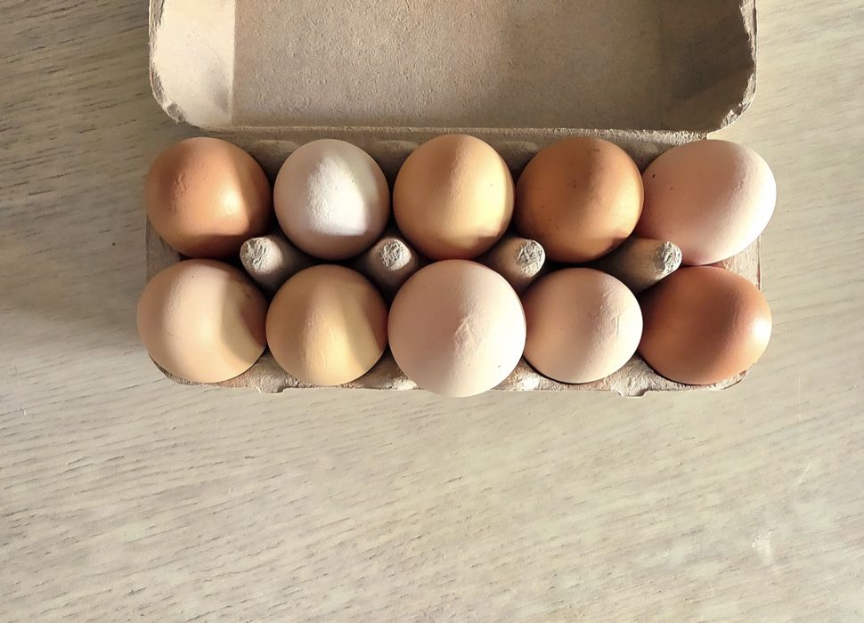 Jajka jaja naturalne ekologiczne jajka jaja z wolnego wybiegu