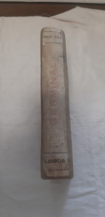 Germinal de Emílio Zola