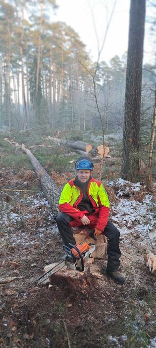 Wycinka i Pielęgnacja drzew