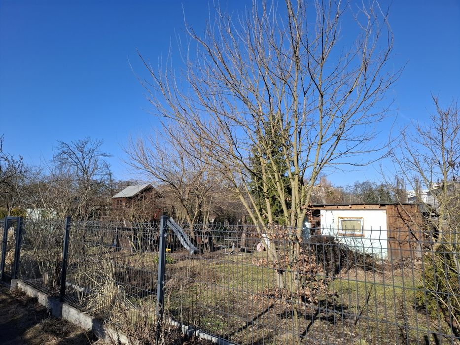 Działka ROD przy Kaszowniku