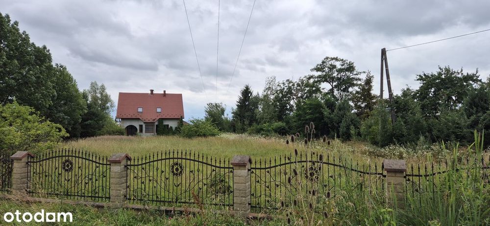 Syndyk sprzeda nieruchomość w m. Winiary