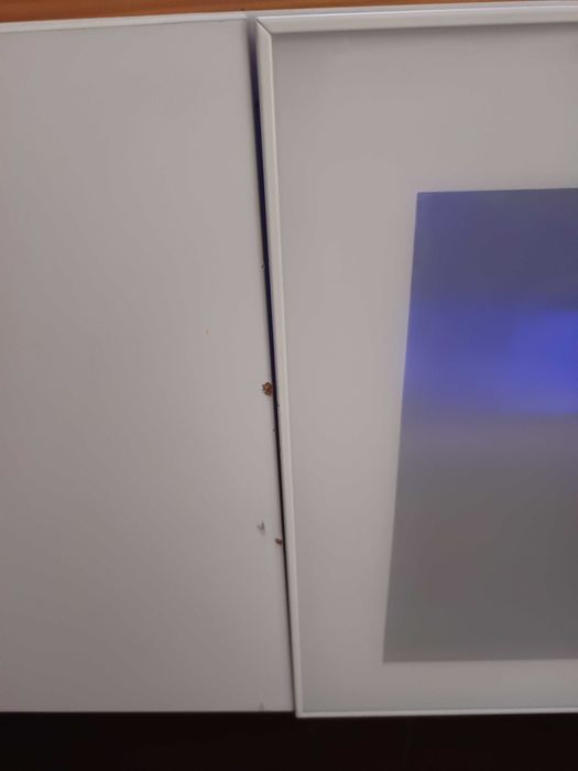 Vários IKEA oportunidade