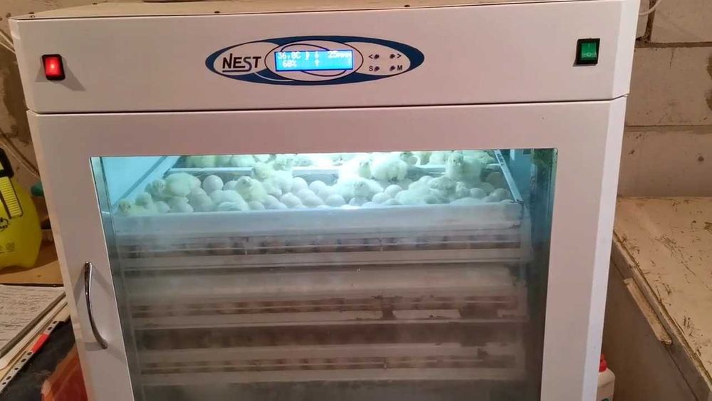 Продаем Инкубатор НЕСТ-500 б/у