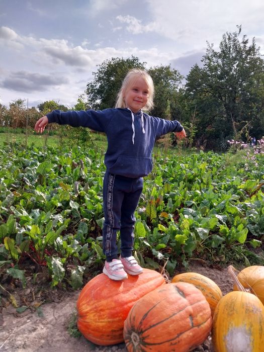 Костюми, кофточки для дівчинки 110розмір