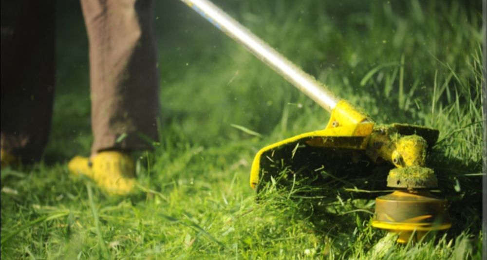 Oferuje usługi ogrodnicze