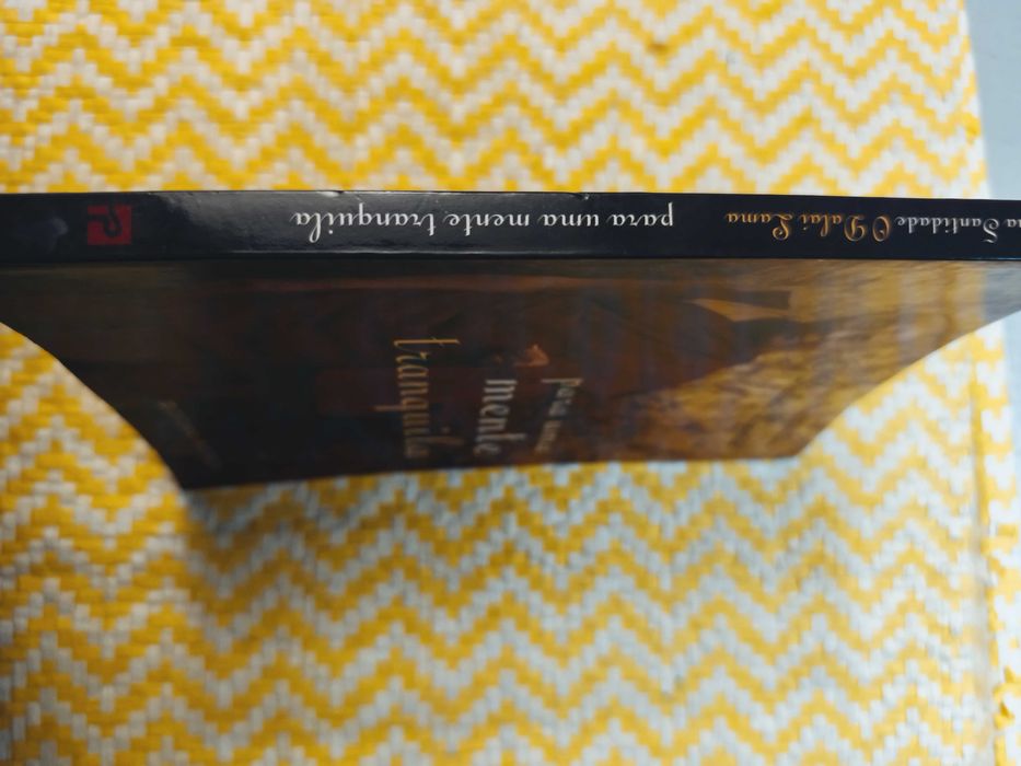 Para uma mente tranquila – 
SS Dalai Lama