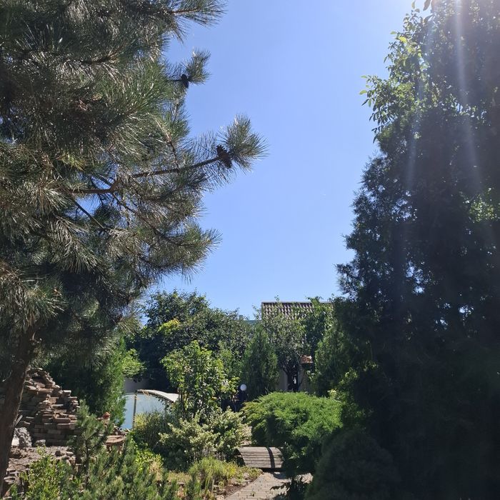 Профессиональная уборка.