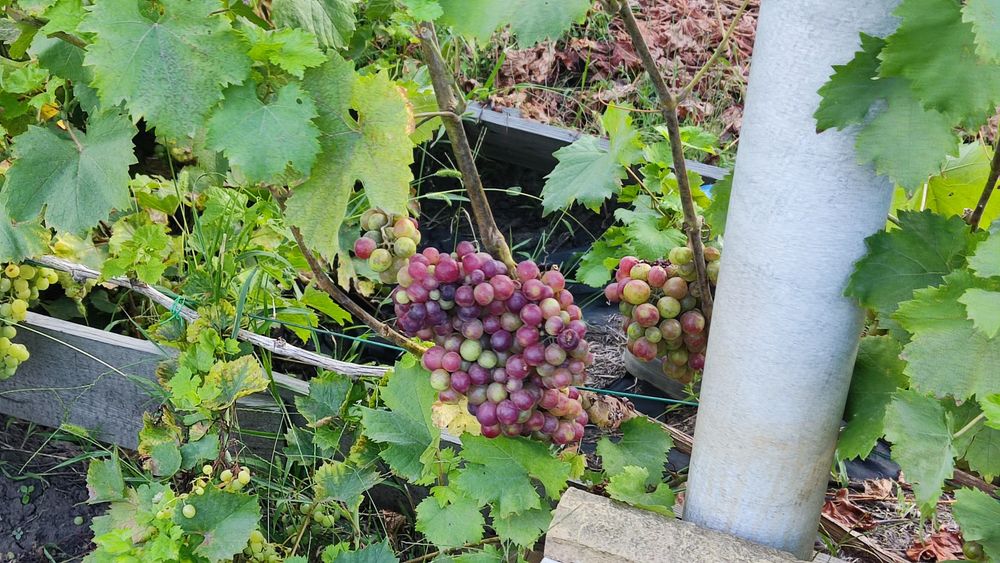 Продам дачу на комправденском водохранилище