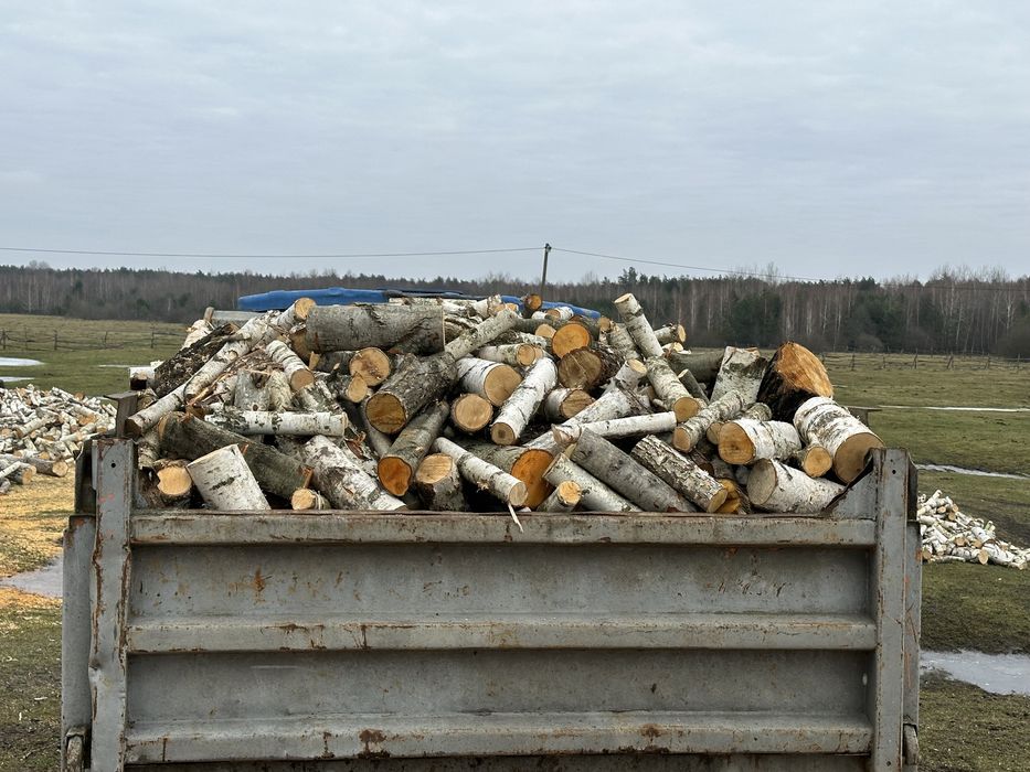 Дрова обрізки береза вільха сосна дуб граб ясен