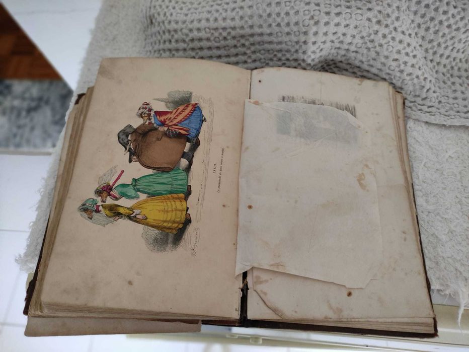 Les metamorphoses du jour com imagens ilustradas (1869)