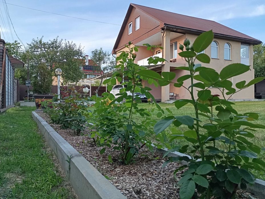 Будинок та земельну ділянку.