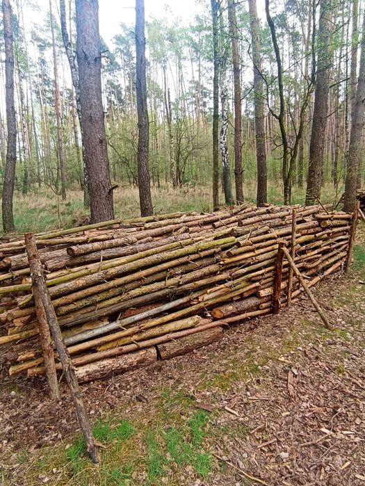 Drewno sezonowane sosnowe
