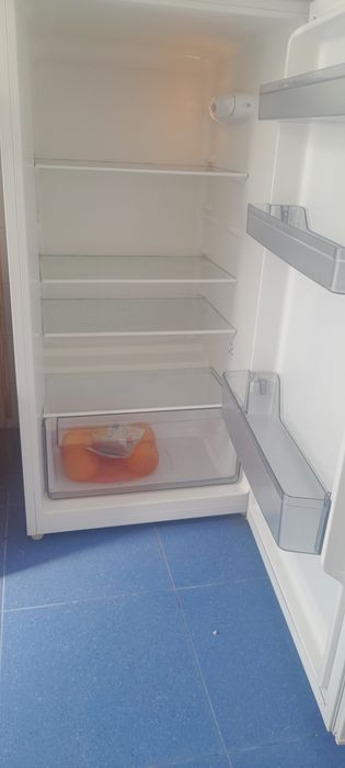 Frigorífico SelecLine 169L