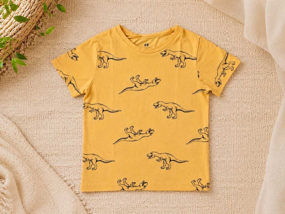Koszulka z krótkim rękawem w dinozaury marki H&M