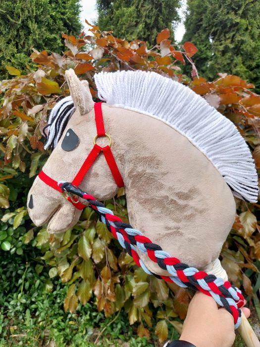 Konik na kiju fiord hobby horse