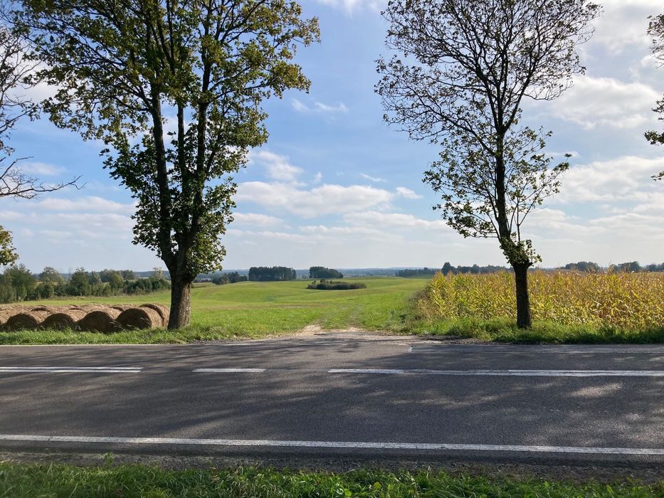 Atrakcyjna nieruchomość rolna 16,58 ha przy dr. kraj. 59 pod Giżyckiem