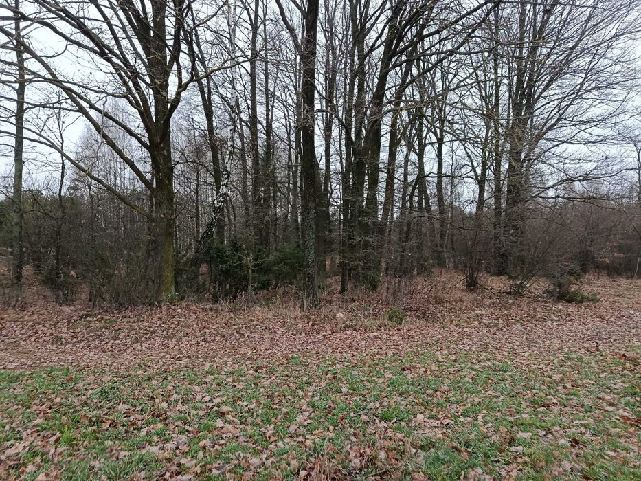 Sprzedam działki pod zabudowę Kłódzie gm. Skórzec