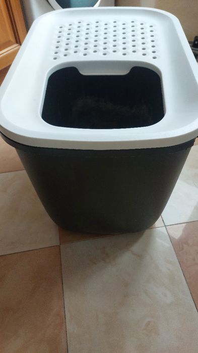 Caixote/caixa areia para gatos