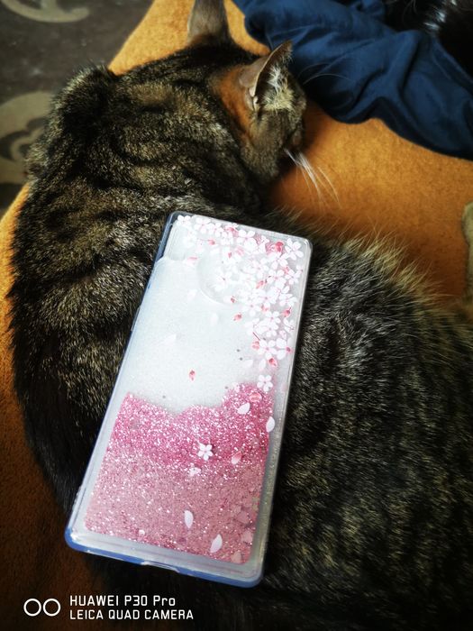 Etui z pływającymi drobinkami do Huawei MATE30 PRO