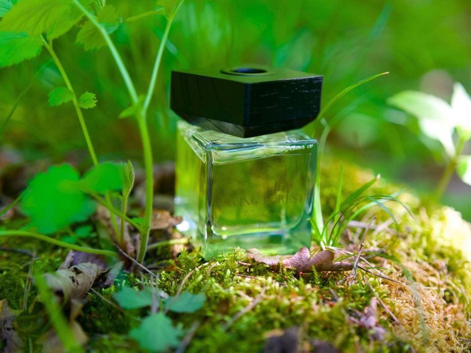 Naturalny dyfuzor zapachowy