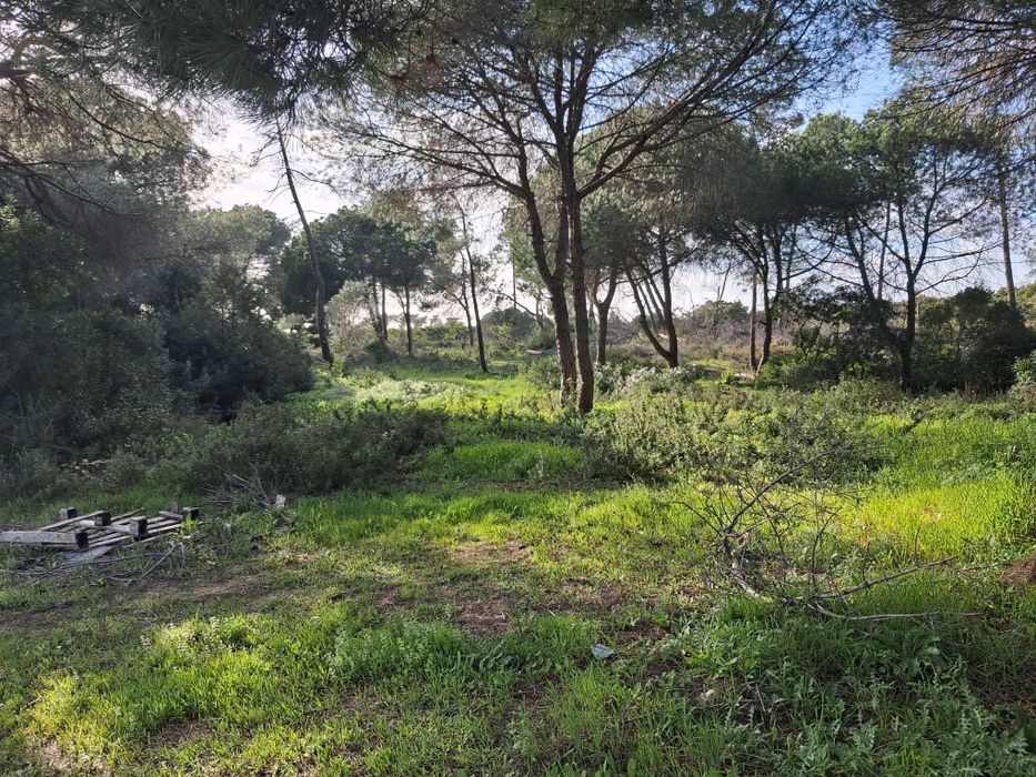 Terreno Rústico em Santa Bárbara De Nexe, com vista mar. .