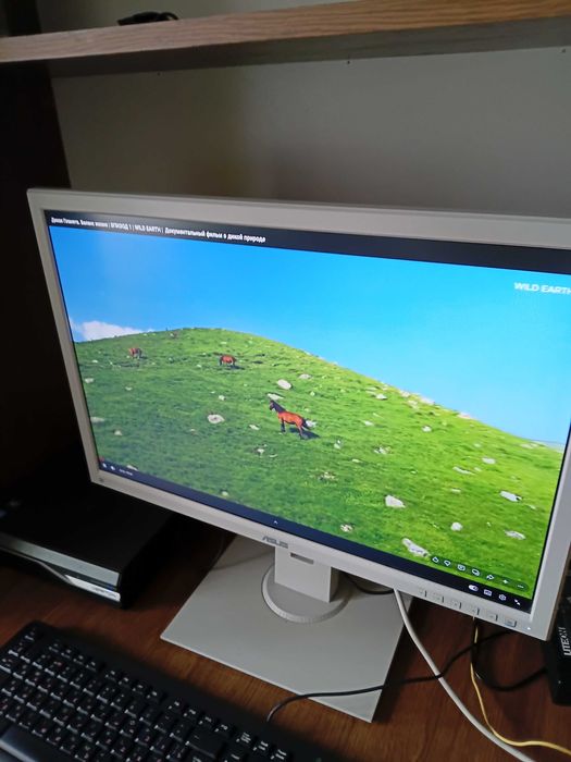 Монитор ASUS BE24AQC