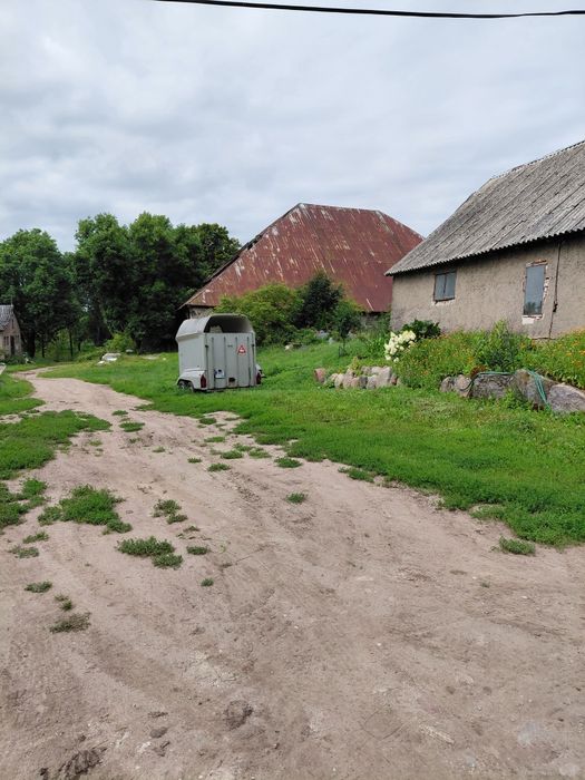 Zdjęcie 5