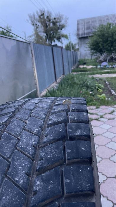 Резина BULLDOG 295/80r22.5