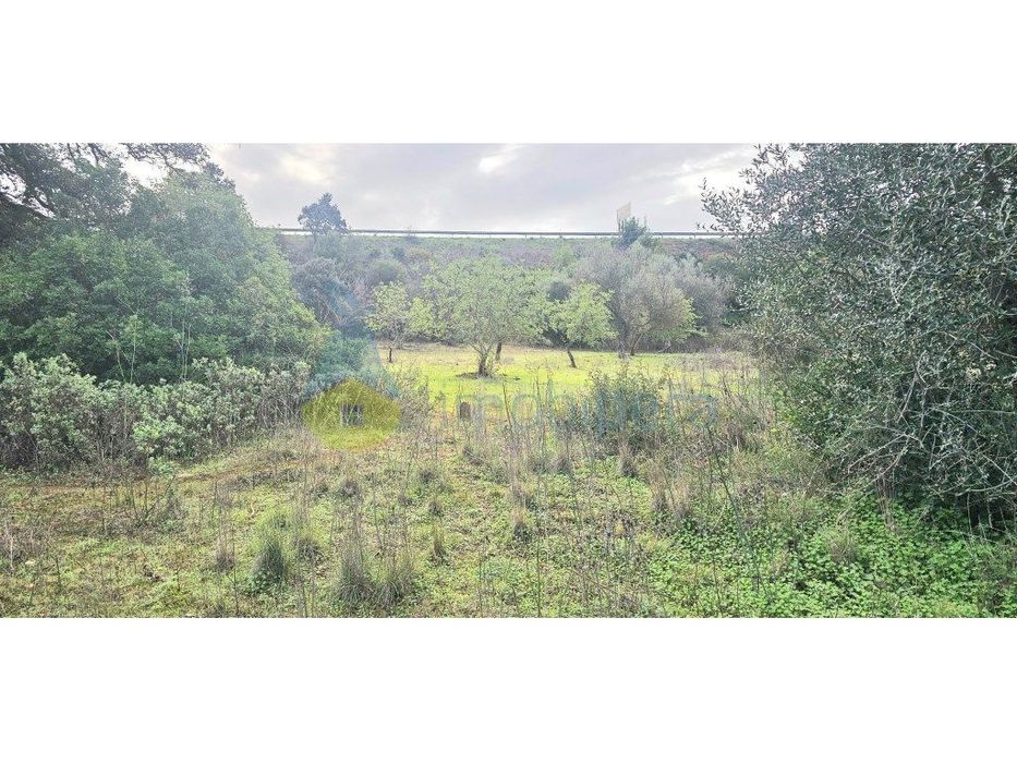Terreno Rústico - Barradinha, Paderne | 5.625 m² | A 200m do Castel...
