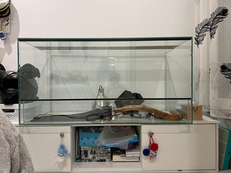 Terrário em vidro e grelha metálica