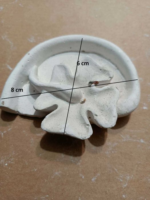 Outlet Dekor gipsowy zestaw 4 szt Koniczyna