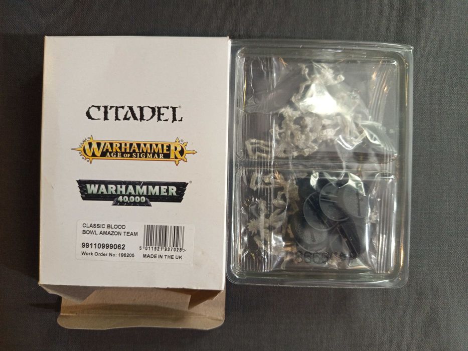 Warhammer Blood Bowl Amazon Team metal 12 figurek